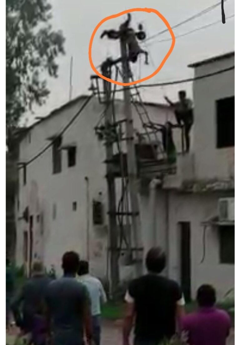 big breaking:11 हजार वोल्टेज की विद्युत लाइन पर हुआ बड़ा हादसा- देखें वीडियो big breaking:11 हजार वोल्टेज की विद्युत लाइन पर हुआ बड़ा हादसा- देखें वीडियो