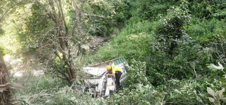 ट्रक खाई में गिरने से चालक की मौके पर मौत ट्रक खाई में गिरने से चालक की मौके पर मौत