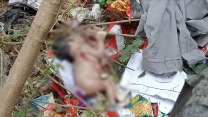 WhatsApp-Image-2022-11-20-at-4.35.28-PM