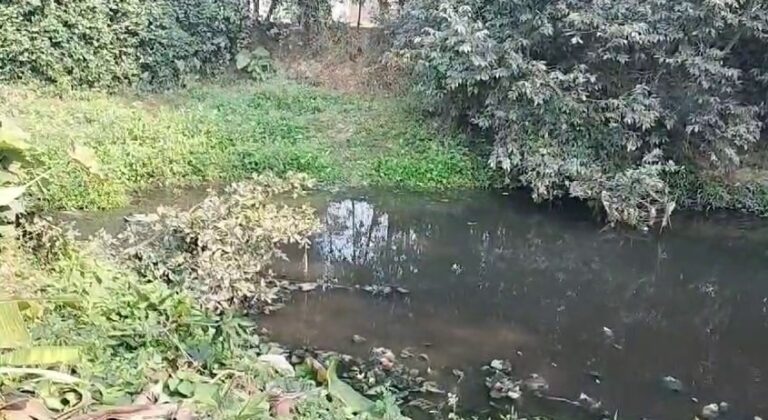 मर्डर केस में गवाह की संदिग्ध परिस्थितियों में डूबने से मौत,पुलिस में हड़कंप मर्डर केस में गवाह की संदिग्ध परिस्थितियों में डूबने से मौत,पुलिस में हड़कंप