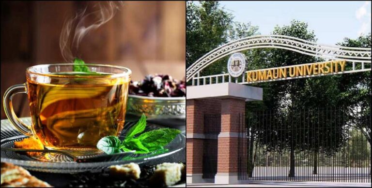 उत्तराखंड: इस विश्वविद्यालय ने बनाई फूलों और जड़ी बूटियों की चाय, इन बीमारियों में होगी कारगर उत्तराखंड: इस विश्वविद्यालय ने बनाई फूलों और जड़ी बूटियों की चाय, इन बीमारियों में होगी कारगर