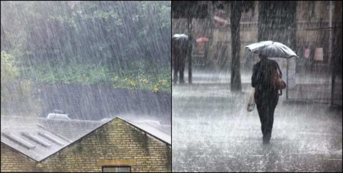 c89ec05a-3c44-469b-8695-03fef81a8470