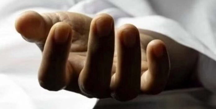 204508d3-54b3-46d5-97c9-0c1474d21365