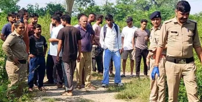 f9df0c80-6b18-404f-9df2-6706dc67838e