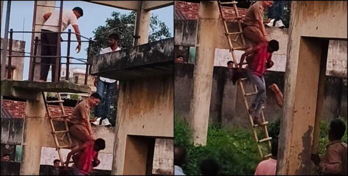 43aa4ba3-2eb0-4a4a-8079-243776ef9bed