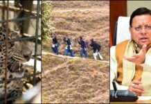 वन्यजीव हमलों पर धामी का सख्त एक्शन, नपे गढ़वाल DFO.. 30 min में हाजिर होगी रिस्पांस टीम