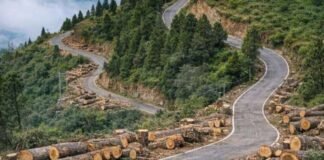 चंपावत बाईपास निर्माण की आड़ में कटेंगे 1882 देवदार के पेड़, विकास बनाम पर्यावरण की बहस तेज