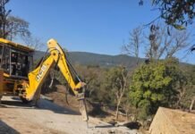 अवैध प्लांटिंग: सरकारी सम्पतियों में अतिक्रमण पर डीएम सख्त; ध्वस्तीकरण अभियान शुरू