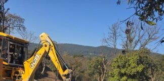 अवैध प्लांटिंग: सरकारी सम्पतियों में अतिक्रमण पर डीएम सख्त; ध्वस्तीकरण अभियान शुरू