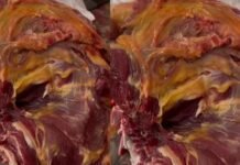 देहरादून में मीट माफियाओं का आतंक, फर्जी कंपनी के नाम पर सप्लाई हो रहा सड़ा मीट