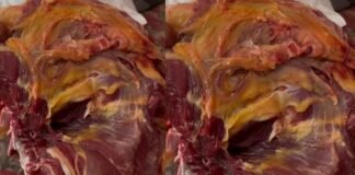 देहरादून में मीट माफियाओं का आतंक, फर्जी कंपनी के नाम पर सप्लाई हो रहा सड़ा मीट