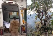 गुप्तकाशी में करंट लगने से महिला की दर्दनाक मौत, पेड़ पर चढ़कर काट रही थी घास