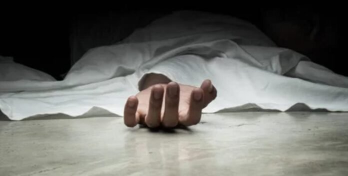 ef79ca8a-45b5-483d-b544-fa5bc9f5278a