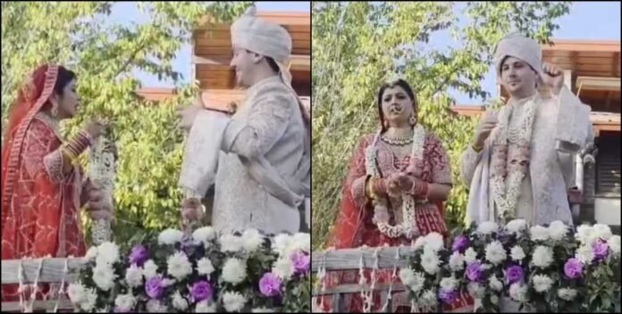 3313a189-b7ce-403d-898d-546f0496e350