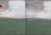 उत्तराखंड: मर्चुला क्रोकोडाइल पॉइंट का वीडियो वायरल, पलभर में मगरमच्छ का निवाला बना काखड़.. देखिये