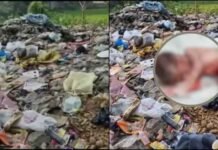 उत्तराखंड: धर्मनगरी में ममता शर्मसार, नवजात को नदी किनारे छोड़ गई मां.. कूड़े में भ्रूण मिलने से सनसनी