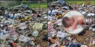 उत्तराखंड: धर्मनगरी में ममता शर्मसार, नवजात को नदी किनारे छोड़ गई मां.. कूड़े में भ्रूण मिलने से सनसनी