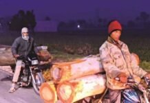 उत्तराखंड: बाइकों में गिल्टे ढोकर ले जा रहे लकड़ी तस्कर, वन विभाग मौन और बेबस