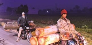 उत्तराखंड: बाइकों में गिल्टे ढोकर ले जा रहे लकड़ी तस्कर, वन विभाग मौन और बेबस