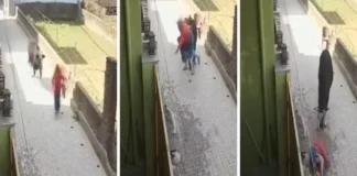 ऋषिकेश के गुमानीवाला में निराश्रित गोवंश का आतंक, महिला पर किया हमला; वीडियो हो रहा वायरल