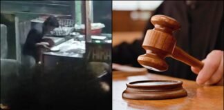 गढ़वाल: होटल में थूक लगाकर रोटी परोस रहा था शाहबाज, कोर्ट ने ऐसी सजा सुनाई कि जिंदगी भर याद रखेगा