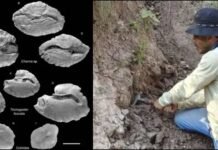 देहरादून में मिले 45 लाख साल पुराने जीवाश्म, हिमालय के बारे में हुए बड़े खुलासे;