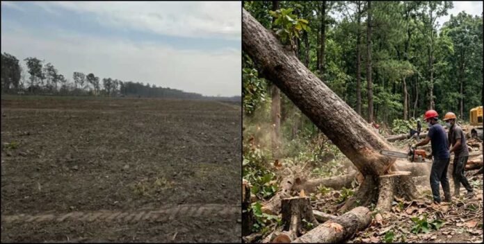 5fd473b9-2785-4843-b1fe-86f22319c460