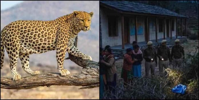 74a3aaf8-5f53-4687-9704-533314a2c045