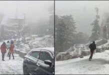 उत्तराखंड में सच साबित हुई मौसम विभाग की चेतावनी, 5 जिलों में मूसलाधार बारिश-आंधी शुरू