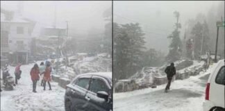 उत्तराखंड में सच साबित हुई मौसम विभाग की चेतावनी, 5 जिलों में मूसलाधार बारिश-आंधी शुरू