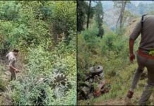 उत्तराखंड: नियंत्रण खोकर गहरी खाई में गिरी ट्रैक्टर ट्रॉली, उड़े परखच्चे.. दो युवकों की दर्दनाक मौत