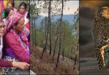 गढ़वाल: पुराने मकान के पास घास लेने गई महिला, लौटकर नहीं आई… गुलदार ने ली जान