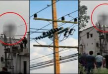 उत्तराखंड: बिजली का खंभा लगाते समय 11 हजार वोल्ट लाइन की चपेट में आए 5 कर्मचारी, एक की दर्दनाक मौत