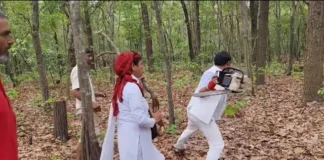 सातमोड़ में वृक्ष कटान पर बवाल, कांग्रेस ने सीएम धामी से समीक्षा तक रोक लगाने की मांग