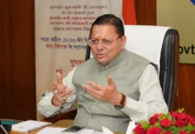 धामी सरकार का बड़ा फैसला! जनविरोध के बीच पेड़ों की कटाई तत्काल स्थगित