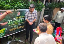 हरेला पर्व पर हरियाली का संकल्प: जिलाधिकारी डॉ0 आशीष चौहान ने किया वृक्षारोपण, कहा— पौधारोपण को बनाएं जन-आंदोलन
