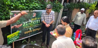 हरेला पर्व पर हरियाली का संकल्प: जिलाधिकारी डॉ0 आशीष चौहान ने किया वृक्षारोपण, कहा— पौधारोपण को बनाएं जन-आंदोलन
