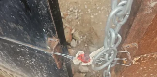 अवैध निर्माण पर एमडीडीए का एक्शन तेज, देहरादून और ऋषिकेश में दो निर्माण सील