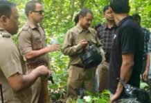 उत्तराखंड: ‘बाघ युवक को उठा ले गया’ की अफवाह से मचा हड़कंप, वन विभाग ने बताया सच