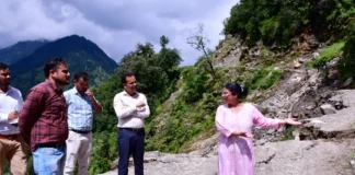 पिंडर घाटी में डीएम ने किया स्थलीय निरीक्षण, आपदा प्रभावित सड़कों के स्थायी समाधान के दिए निर्देश