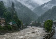 उत्तराखंड में मानसून ने फिर पकड़ी रफ्तार, 2 सितंबर तक भारी बारिश.. आज 8 जिलों में येलो अलर्ट