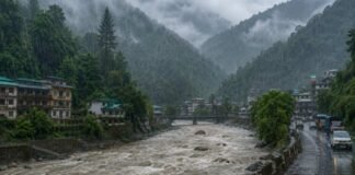 उत्तराखंड में मानसून ने फिर पकड़ी रफ्तार, 2 सितंबर तक भारी बारिश.. आज 8 जिलों में येलो अलर्ट