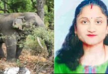 देहरादून में हाथी ने महिला पर किया घातक हमला, कई पसलियां टूटीं.. दर्दनाक मौत