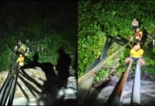 उत्तराखंड: स्वारना नदी का जलस्तर बढ़ने से जंगल में फंसे UPES के 6 छात्र, SDRF ने 6 KM पैदल चलकर किया रेस्क्यू