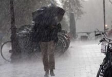 आज इन 7 जिलों में भारी बारिश के आसार, IMD ने जारी किया येलो अलर्ट