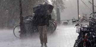 आज इन 7 जिलों में भारी बारिश के आसार, IMD ने जारी किया येलो अलर्ट