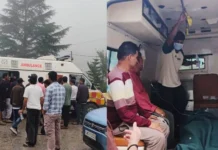 चमोली में घास लेने गई दो महिलाओं पर भालू का हमला, एक की मौत; दूसरी गंभीर घायल
