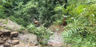 डंपर दुर्घटना के बाद लापता था चालक, गहरी खाई में मिला शव; SDRF ने किया रेस्क्यू