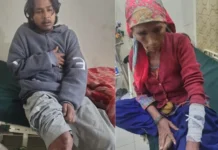 चमोली में भालू का हमला, एक ही परिवार के चार लोग घायल; हायर सेंटर रेफर
