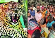 उत्तराखंड: गुलदार के हमले में महिला की मौत, आदमखोर घोषित करने की मांग लेकर हाईवे पर उतरे ग्रामीण